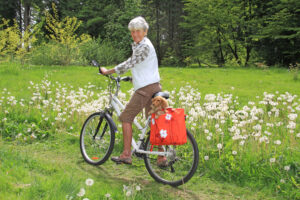 Fahrradtasche für den Gepäckträger