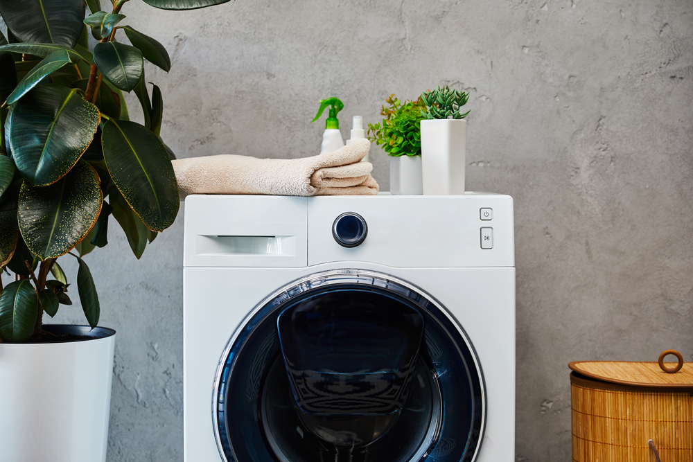 Waschmaschine, Pflanzen und Handtücher in Badezimmer